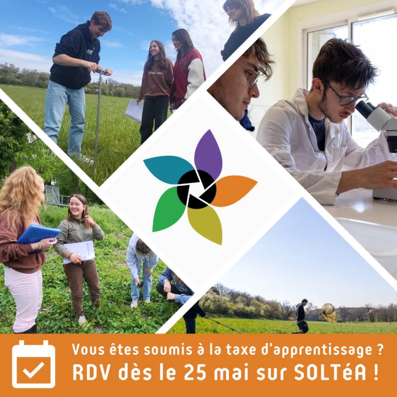 Taxe d’apprentissage