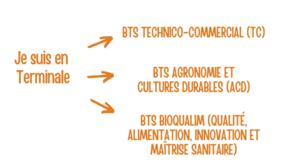 élèves de terminale mini stages