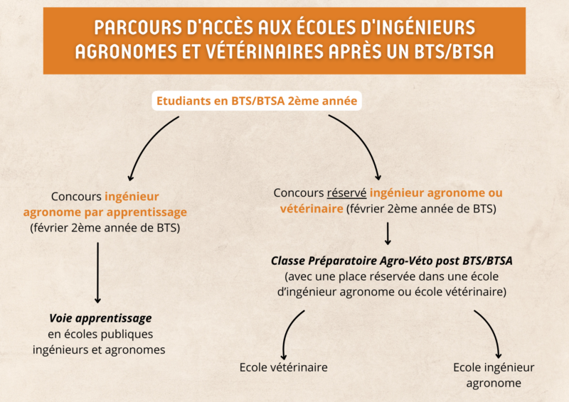 Concours agro véto classe post bts btsa ecoles ingenieurs agronomes veterinaires