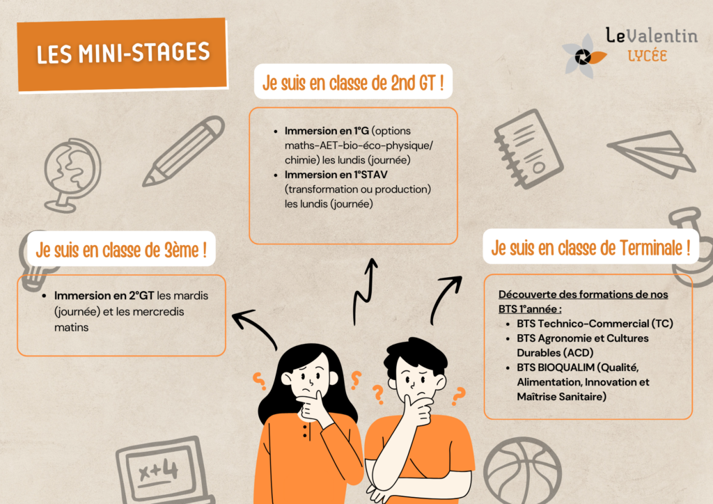 Schéma mini stages(1)