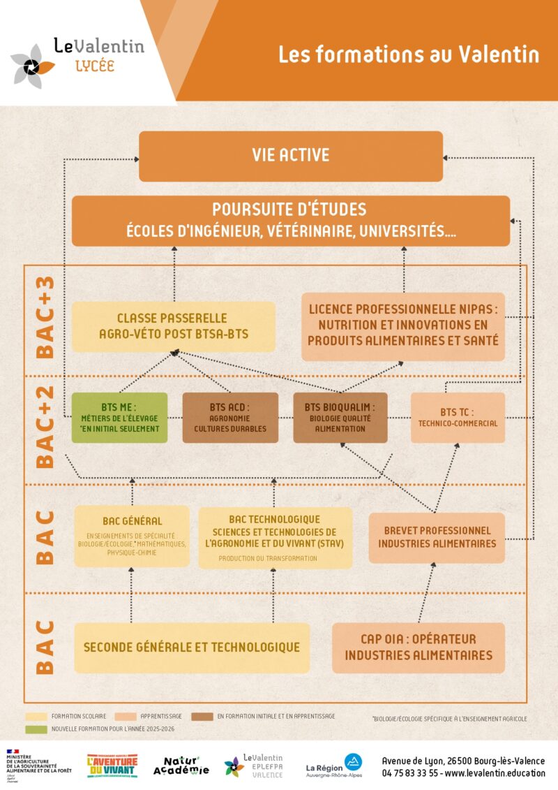 etudes-formations-lycee-bourg-les-valence