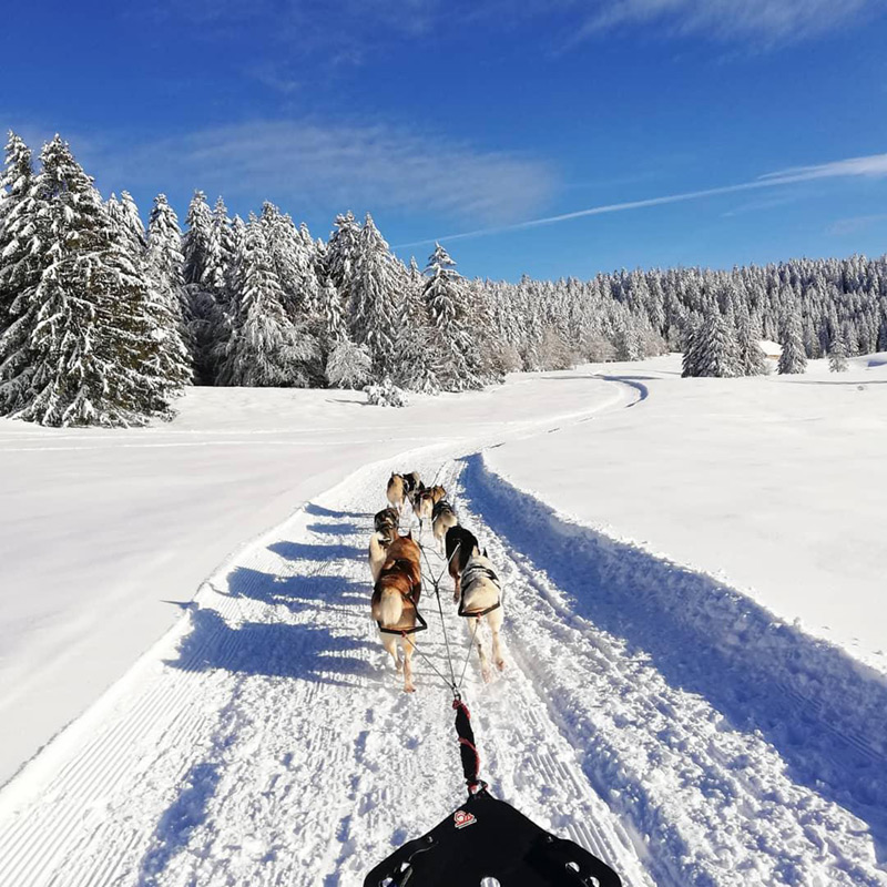 EPLEFPA-le-valentin-valence-CFPPA-die-formation-musher