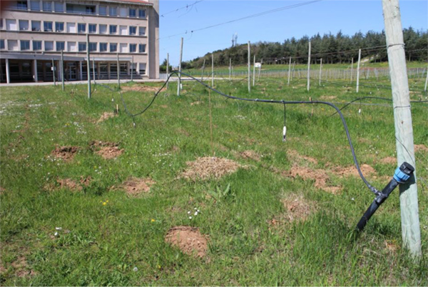 EPLEFPA-le-valentin-valence-CFPPA-Bourg-les-valence-projet-mai-2018-4