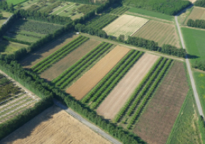 EPLEFPA-le-valentin-valence-CFPPA-Bourg-les-valence-projet-platefrome-TAB-etoile-sur-rhone