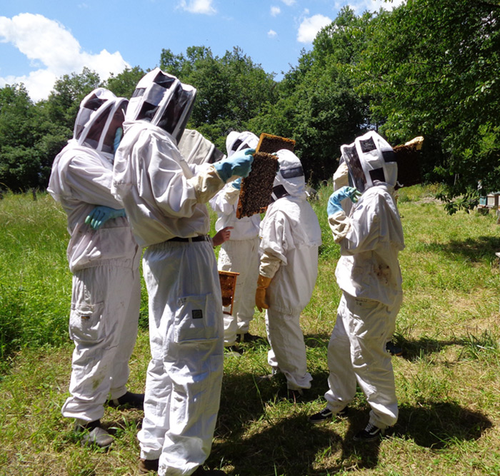 EPLEFPA-le-valentin-valence-CFPPA-die-formation-apiculture
