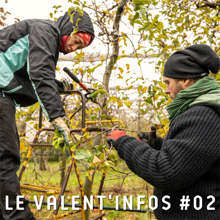 valentinfos-2