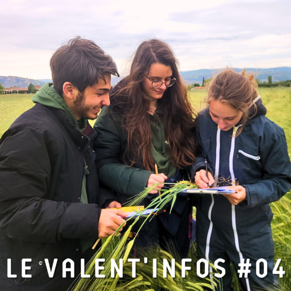 valentinfos-4