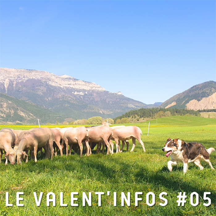 valentinfos-5