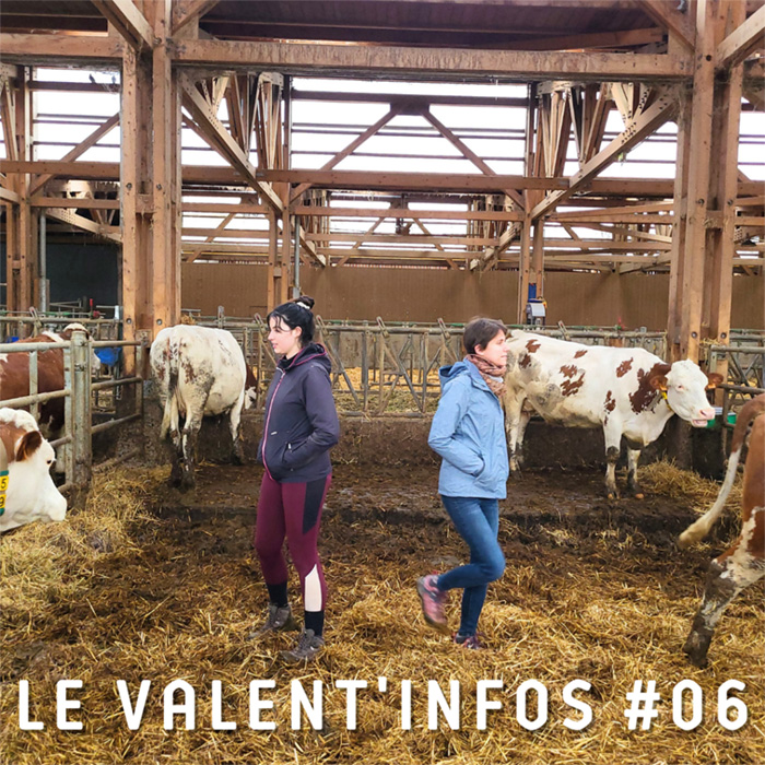 valentinfos-6