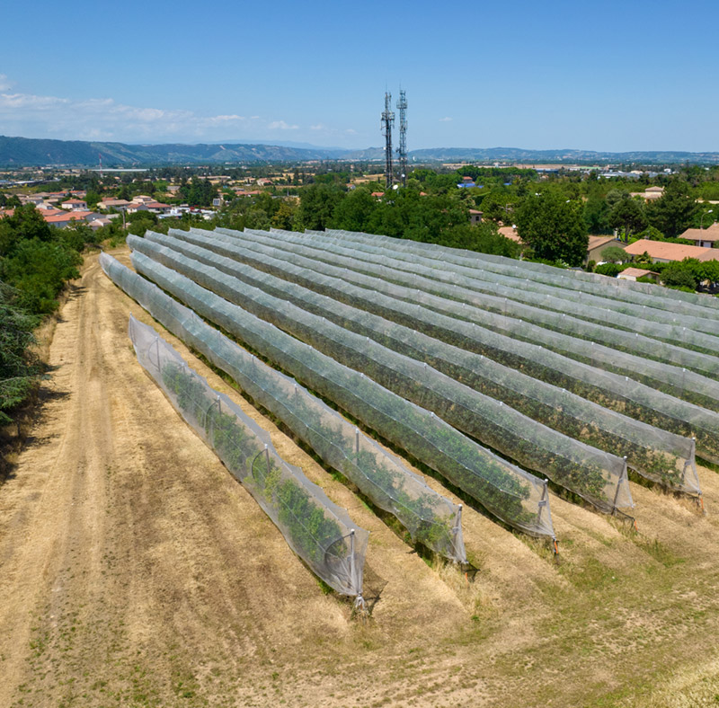EPLEFPA-le-valentin-valence-CFPPA-Bourg-les-valence-parcelle-maraichage