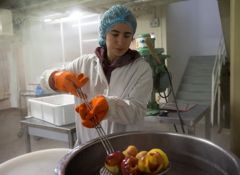 EPLEFPA-le-valentin-valence-atelier-agroalimentaire-transformation-a-facon