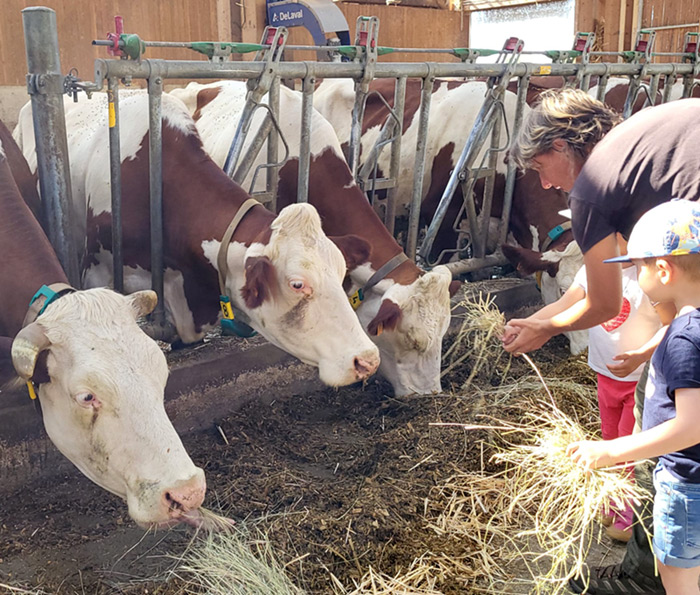 EPLEFPA-le-valentin-valence-exploitation-agricole-ferme-pedagogique-etable