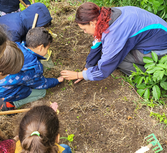 EPLEFPA-le-valentin-valence-exploitation-agricole-ferme-pedagogique-potager-plante