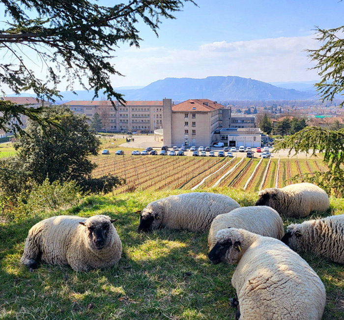 EPLEFPA-le-valentin-valence-histoire