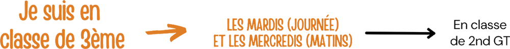 EPLEFPA-le-valentin-valence-lycee-mini-stage-eleve-troizieme