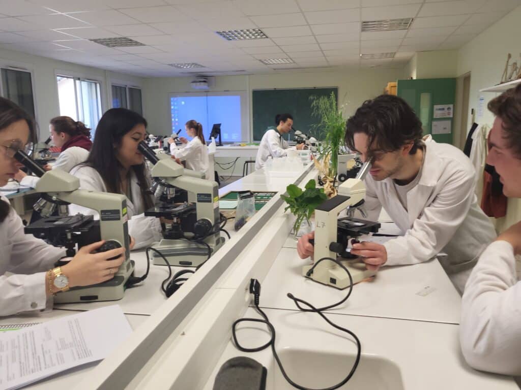 faq-voies-acces-ecoles-ingenieur-agronome-veterinaire