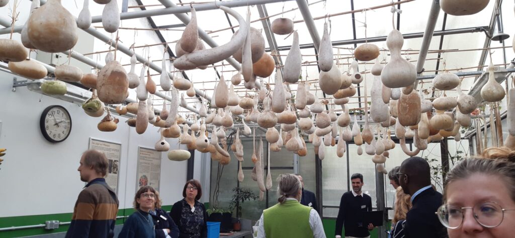 innovation-agroalimentaire-europe-innofoodlabs