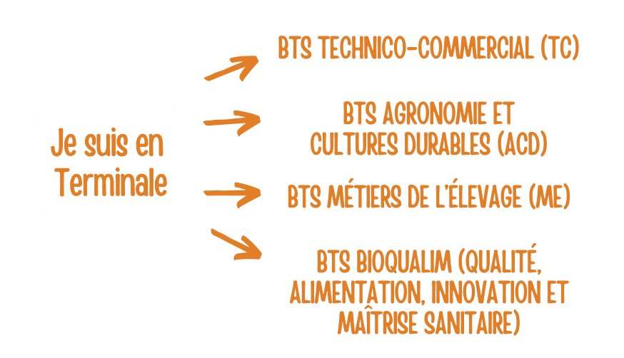 inscription-mini-stage-lycee-valentin