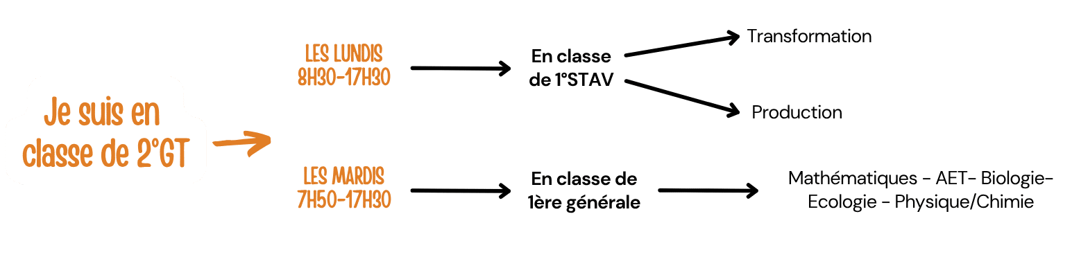 journee-type-mini-stage-lycee-valentin