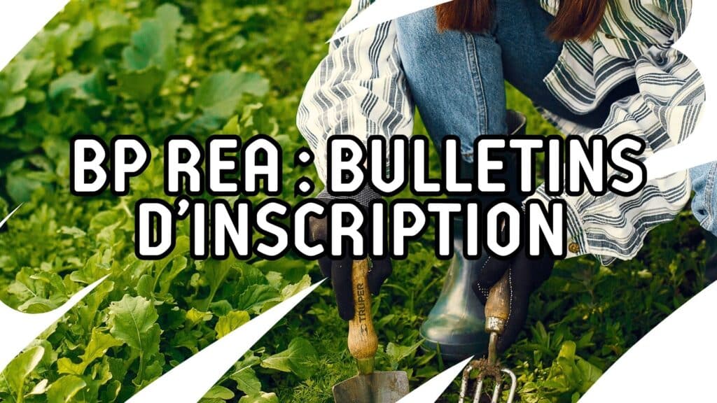 formation-bp-rea-nyons-inscriptions