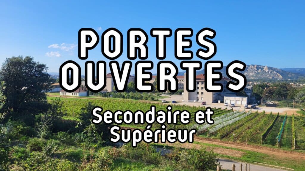 orientation-scolaire-etudes-superieures-valentin