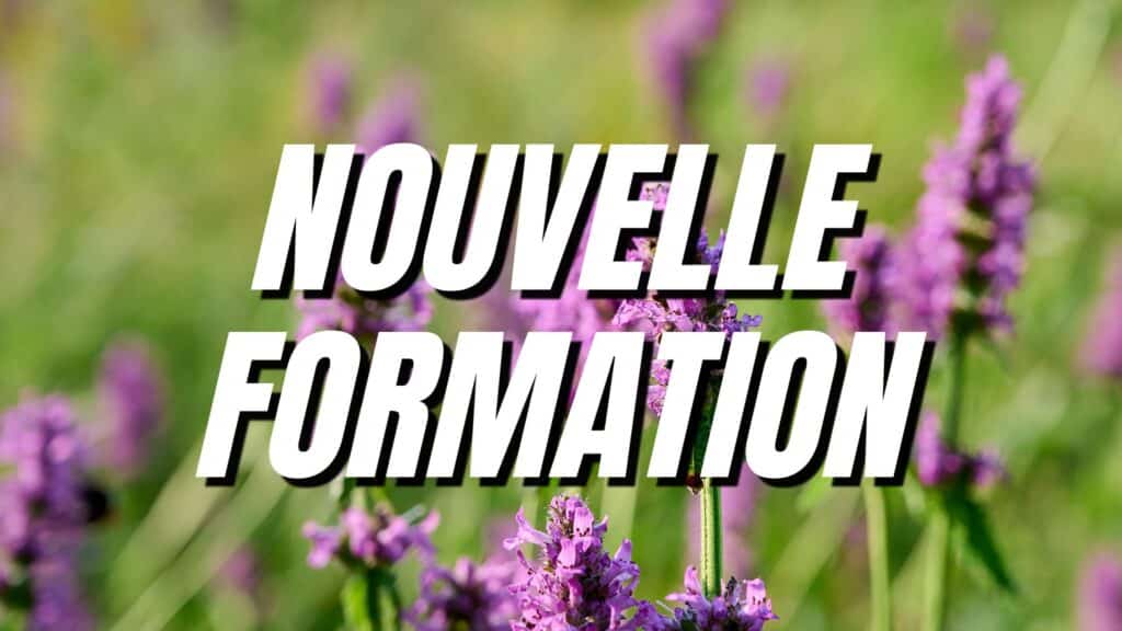 formation-ppam-distance-cfppa-nyons-plantes-aromatiques-medicinales
