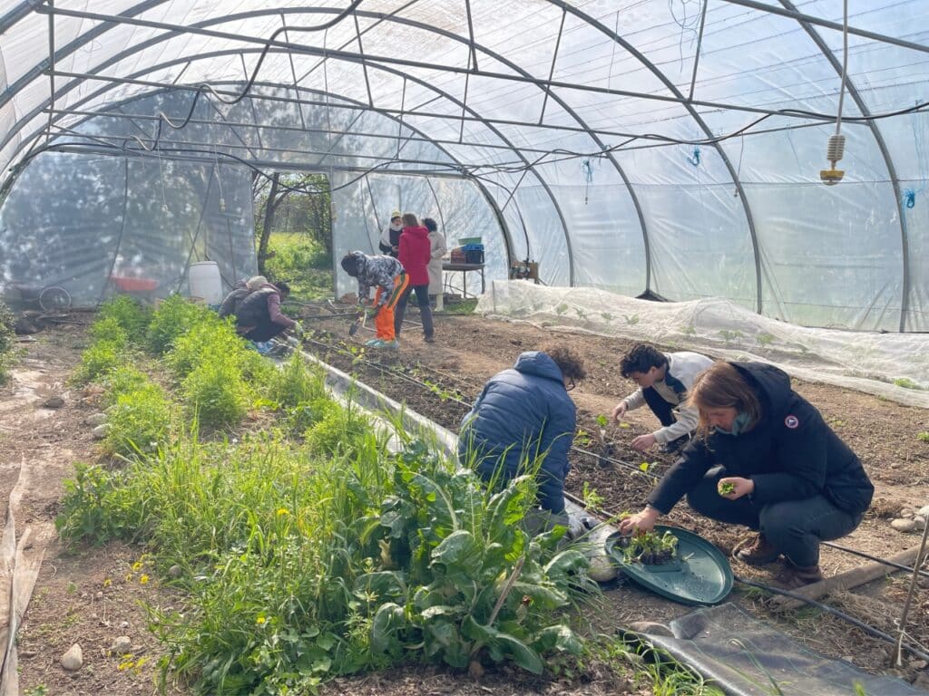 les apprentis CAPA formés par les stagiaires BP REA : planter en maraichage avant de transformer à l'atelier.