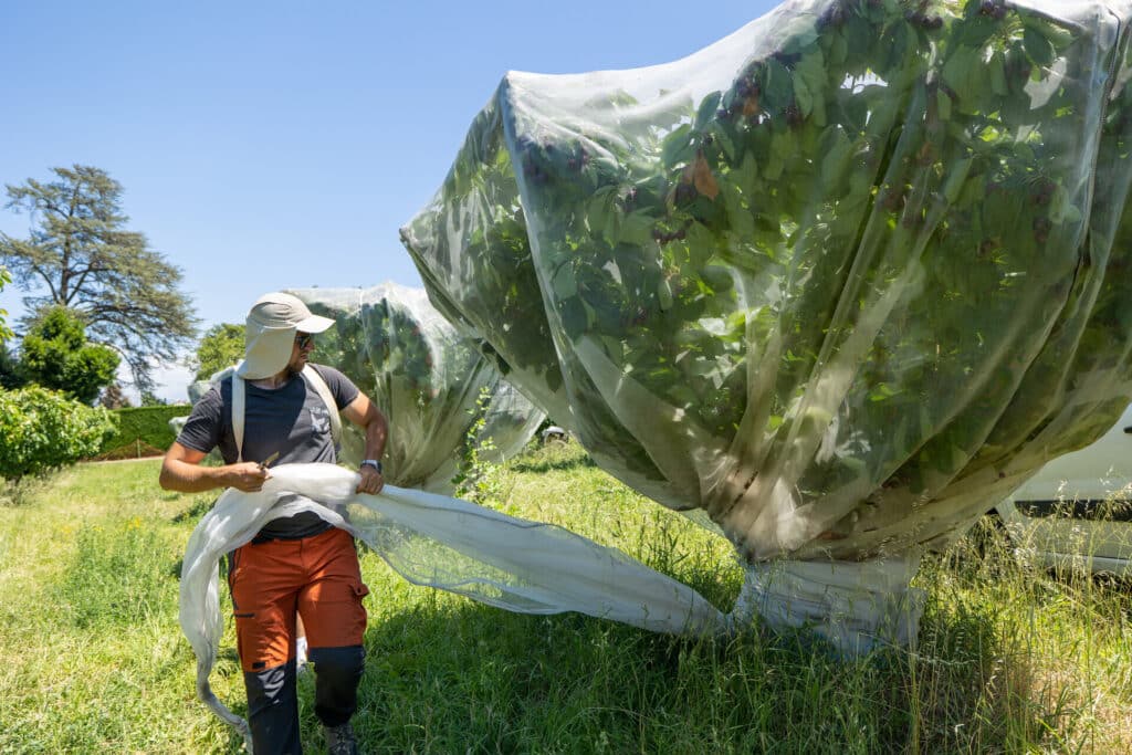agriculture-biologique-ppam-maraichage-elevage-drome-cfppa