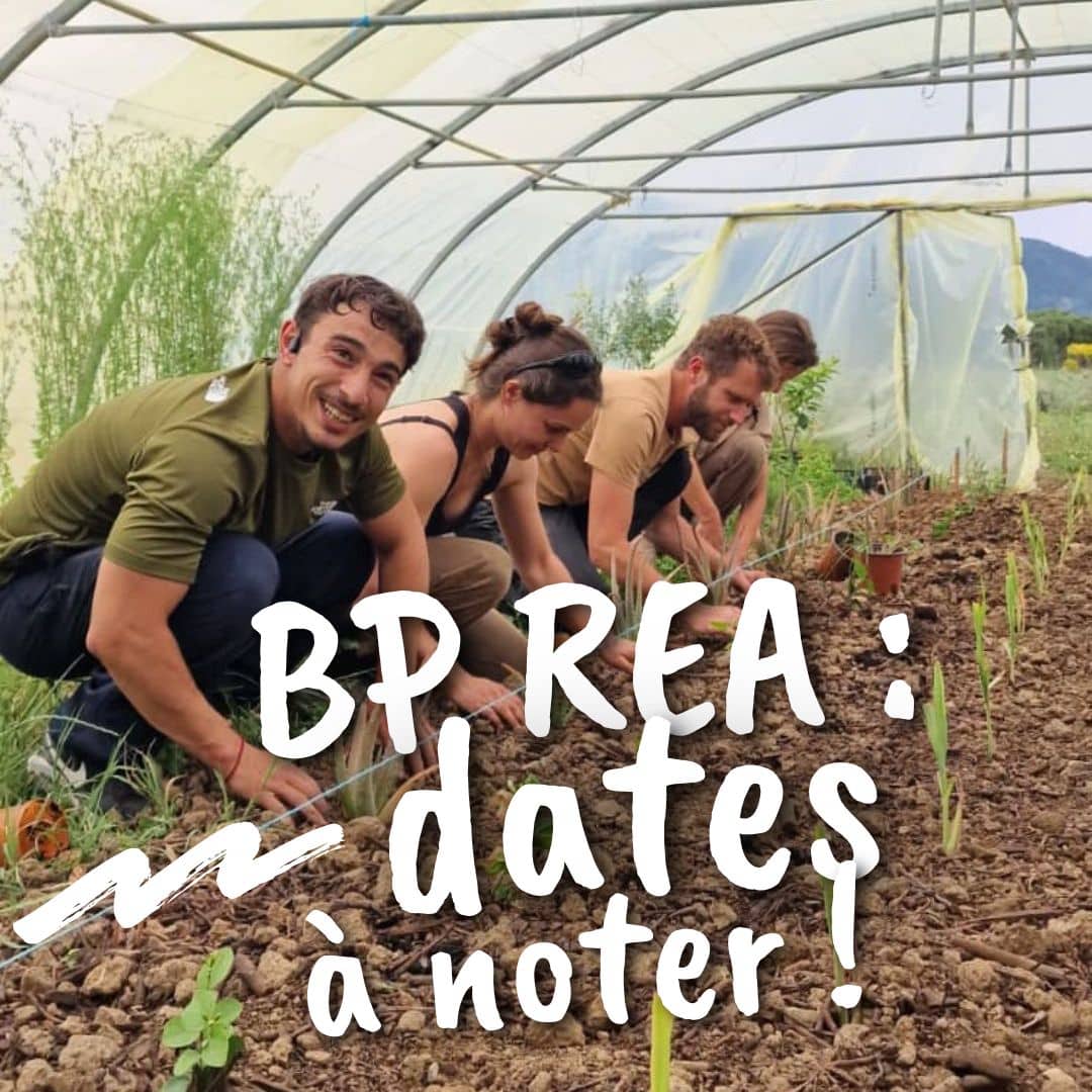 bp-rea-cfppa-nyons-agriculture-biologique-formation