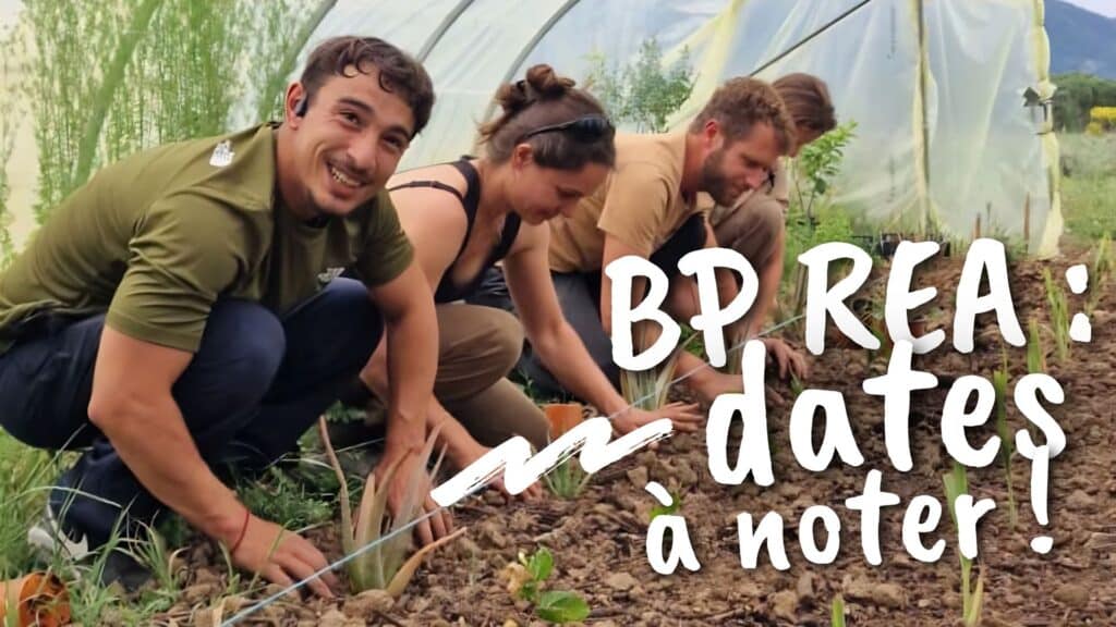bp-rea-nyons-ppam-oleiculture-paysan-herboriste-2026
