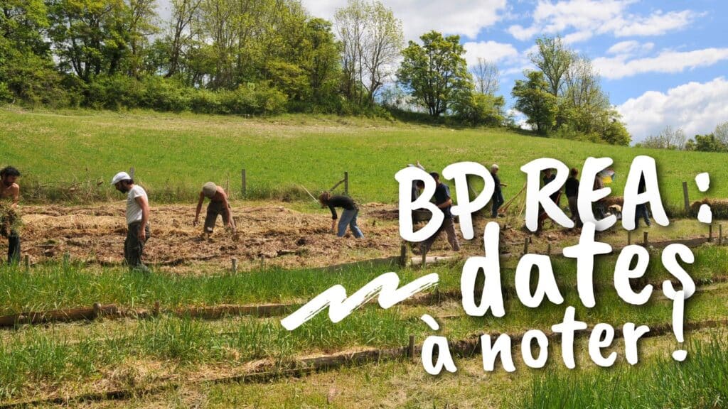 cfppa-die-bp-rea-2026-formation-agricole-elevage-maraichage-installation