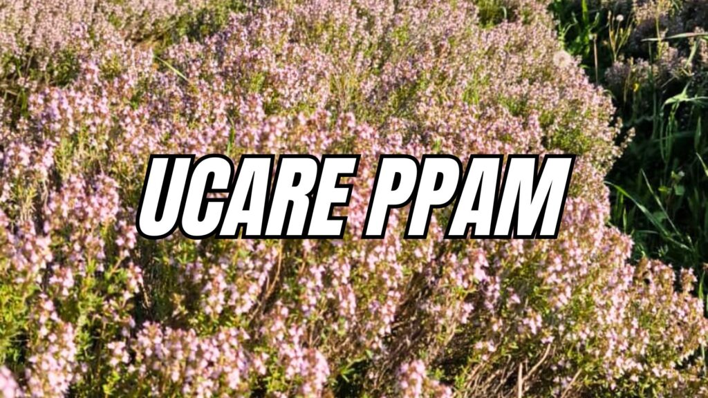formation-nyons-ucare-ppam-transformation-galénique-cosmétique-2026