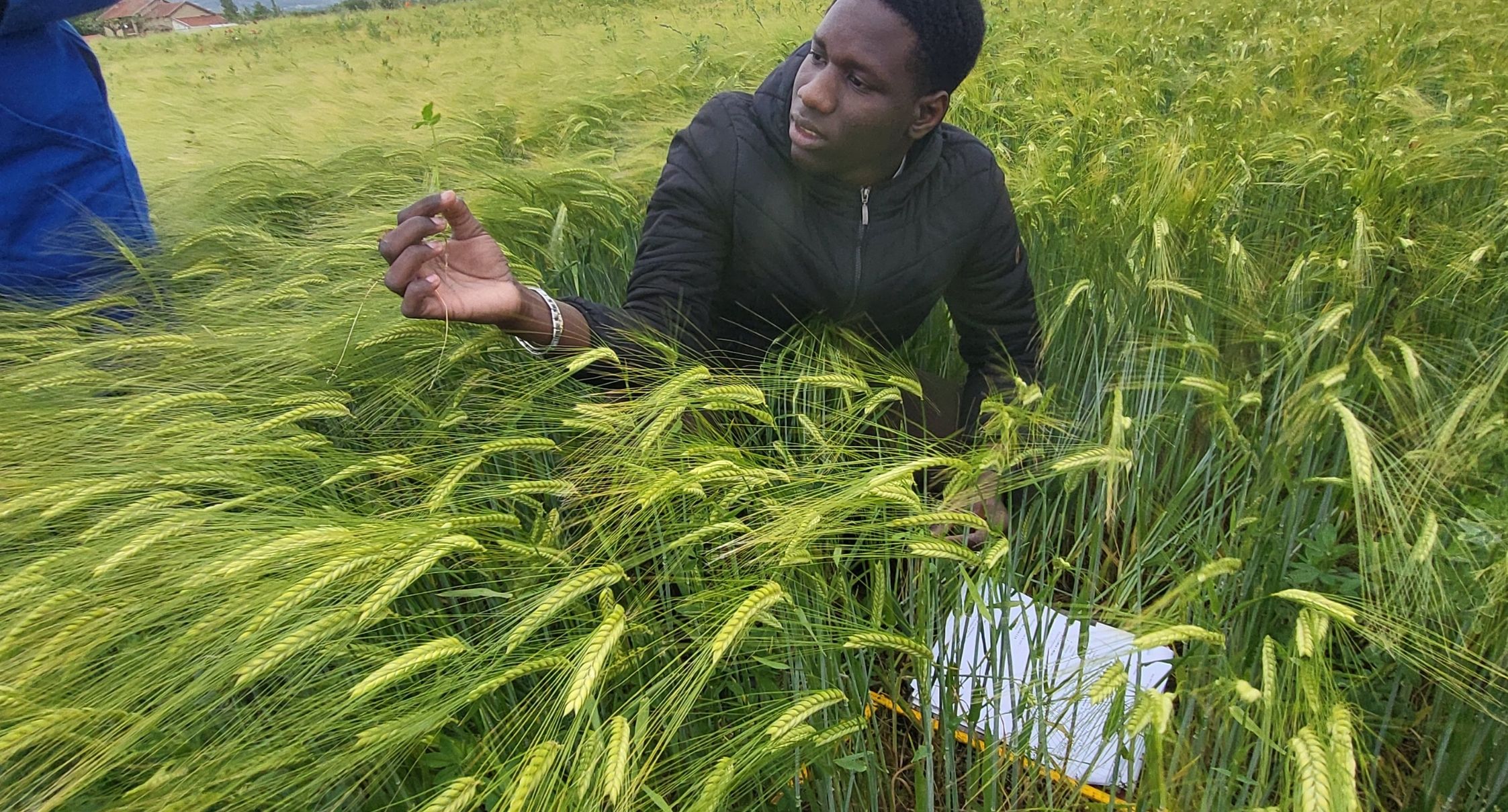 bachelor-genie-agronomique-transitions-apprentissage-agronomie-drome